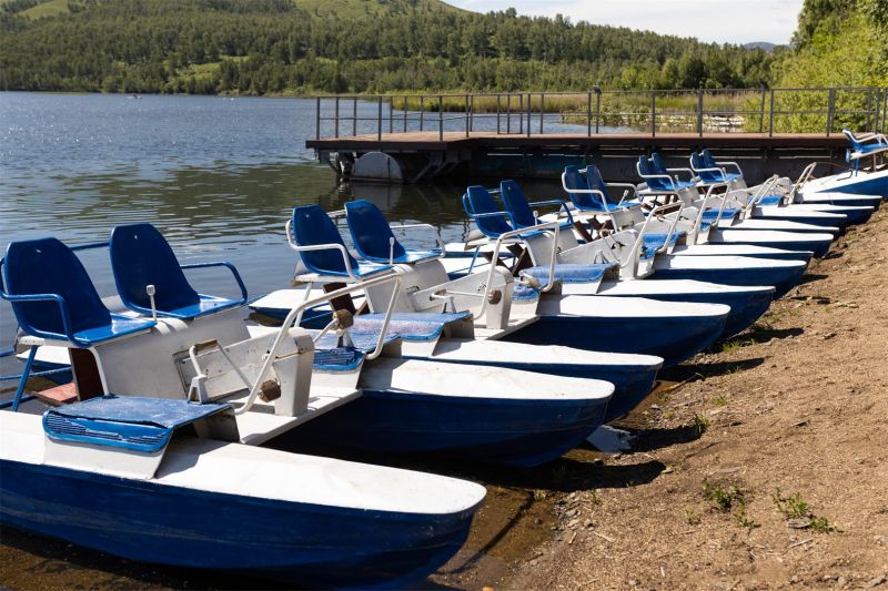 Дом отдыха "Березки"